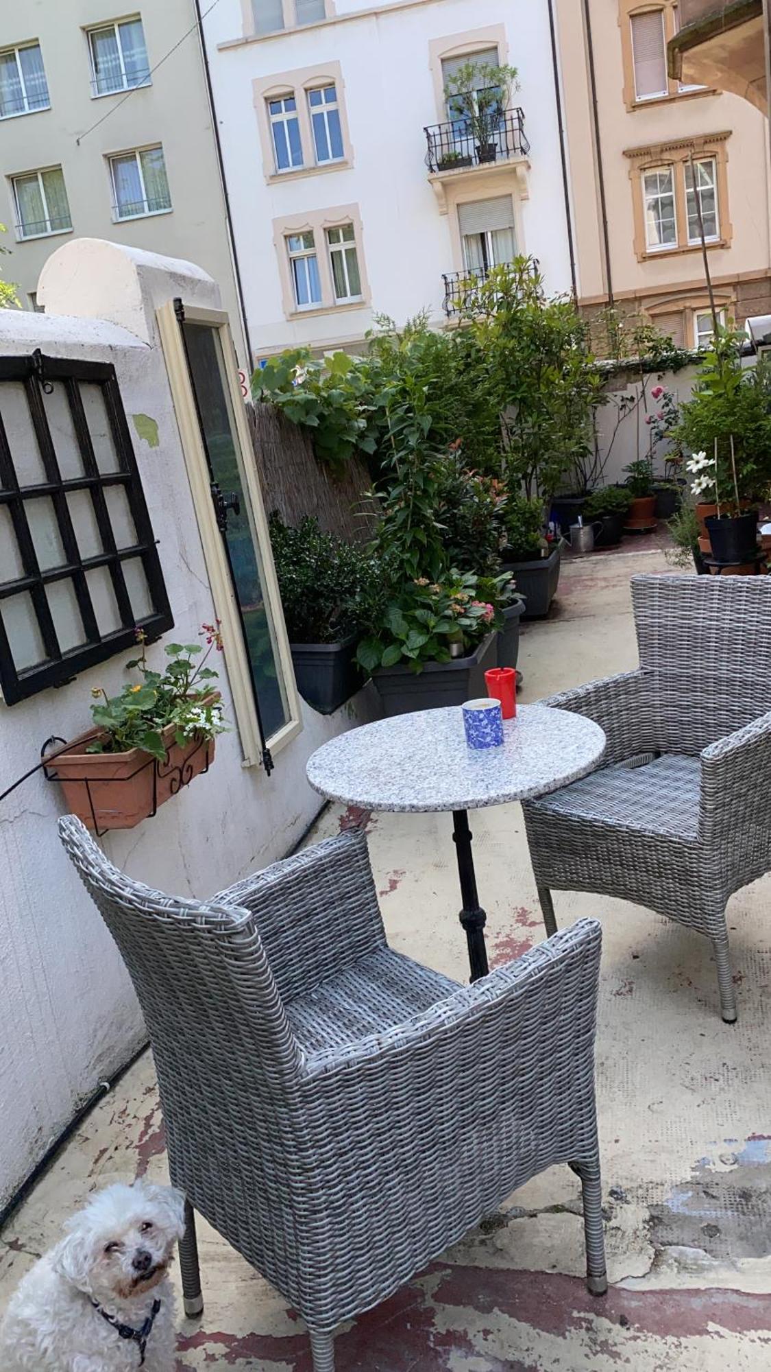 Georgian Guest Rooms Βασιλεία Εξωτερικό φωτογραφία